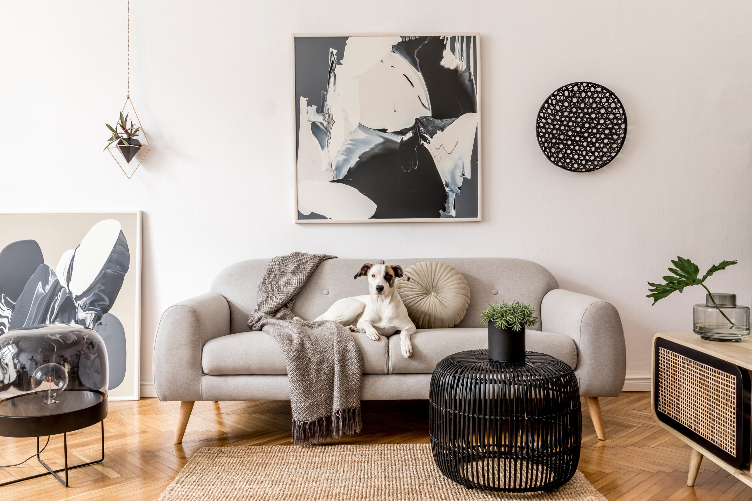 interior design modern living room with dog